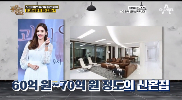 채널A '풍문으로 들었쇼' 방송화면.