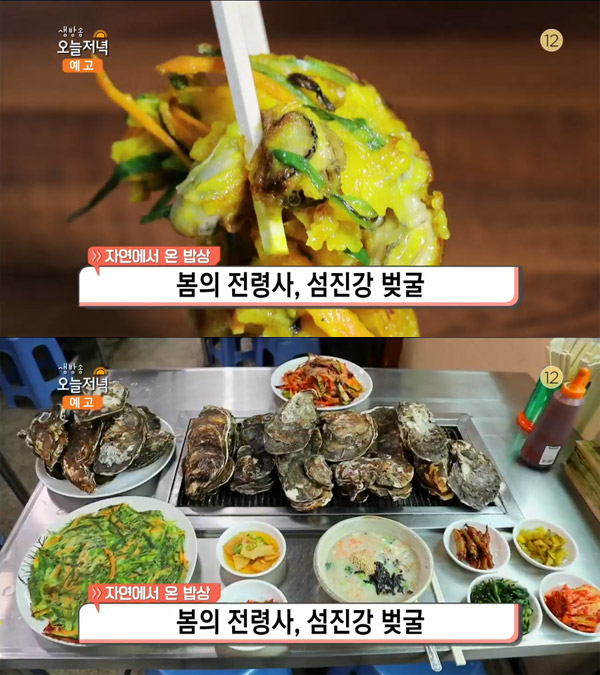 '생방송 오늘 저녁' 섬진강 벚굴 회무침·찜·전, 경남 하동 벚굴식당…자연밥상[오늘방송맛집]
