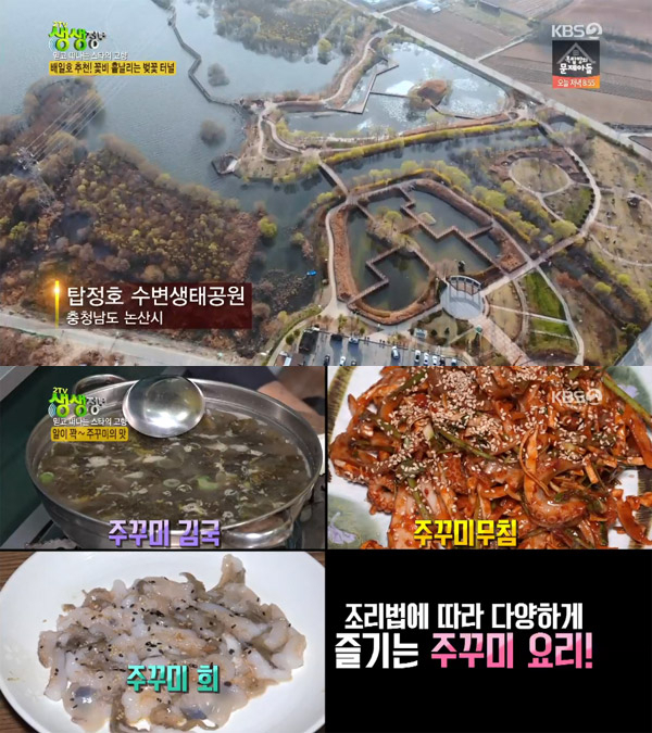 '2TV 생생정보' 충남 논산 주꾸미김국-관촉사 벚꽃터널-탑정호 수변생태공원-연산시장…스타의고향[오늘방송맛집]