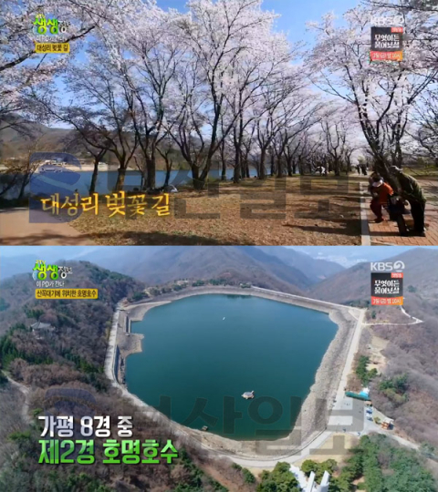 '2TV 생생정보' 가평 호명호수-대성리 벚꽃길＆군락지-오일장…이PD가간다