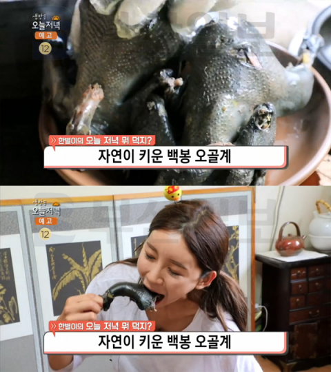 '생방송 오늘 저녁' 백봉오골계백숙, 경산시 용성면 봉림농원…오늘뭐먹지(오늘방송맛집)