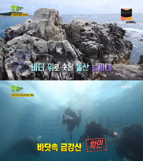 생생정보 이피디 성별 관심? '2TV 생생정보' 고성, 능파대 기암괴석-문암(바닷속 금강산)-동치미막국수…이PD가간다