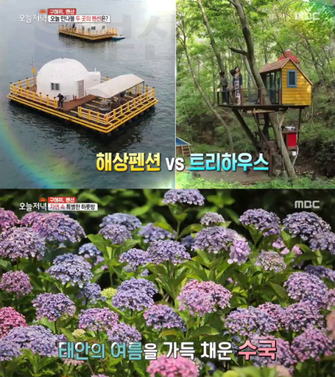'생방송 오늘 저녁' 해상펜션(태안 갈음이 바다낚시공원)-트리하우스(홍천 까르돈)…천리포수목원(구해줘펜션)