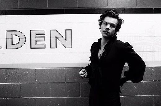 사진 = 해리 스타일스 인스타그램