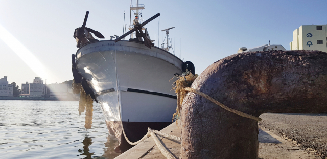 먼바다에서 바닷장어(붕장어)나 꽃게를 주로 잡은 근해통발어선의 경우, 한 번 출항하면 열흘 이상 바다에 머물러 조업하는 탓에 월평균 250드럼 정도를 사용한다. 지금 추세라면 매달 유류비로만 최소 7000만 원 이상을 부담해야 한다. 중동 전쟁 여파로 국제 유가가 급등하면서 내달 면세유 가격도 인상될 것으로 예상되면서 어민들 한숨이 깊어지고 있다.