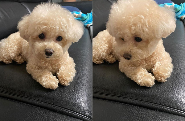 이해리 인스타그램