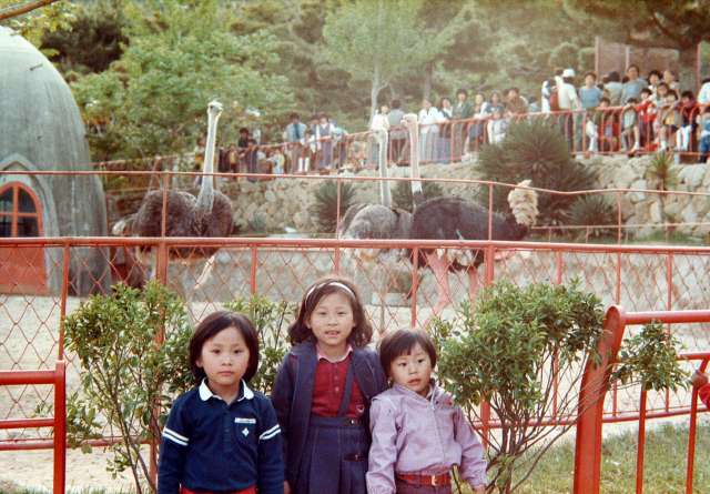 1983년 부산 금강공원 내 동래동물원의 모습입니다. 타조를 배경으로 사진을 찍은 아이들은 지금 어떤 모습일까요. 부산일보DB