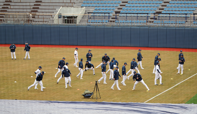 NC 다이노스 선수단이 경남 창원시 마산회원구 마산야구장에서 훈련하는 모습. 부산일보DB