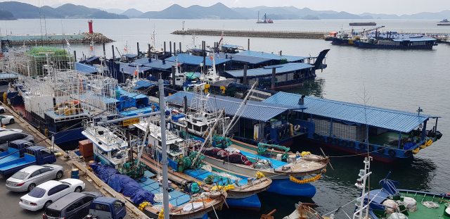 어탐선과 본선, 가공선 등 5척이 선단을 이루는 권현망은 어선 세력만큼이나 유류비에 민감하다. 권현망 선단이 통영시 동호항에 정박해 있다. 부산일보DB