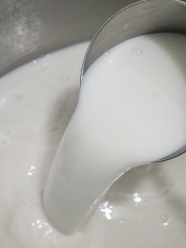 양조장의 발효조에서 익어 가는 설하담의 원주. 리큐랩 제공