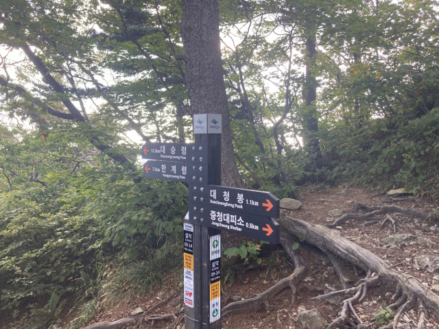 한계령으로 하산한다.