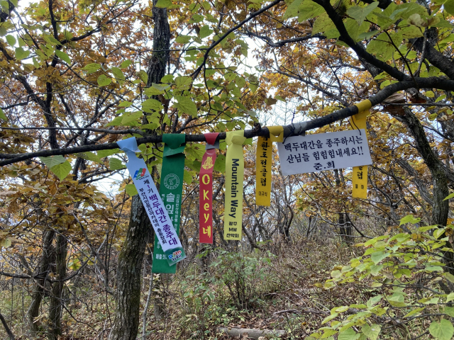 대간꾼들의 흔적이 오롯하다.