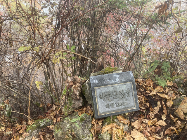 약수산 정상비.