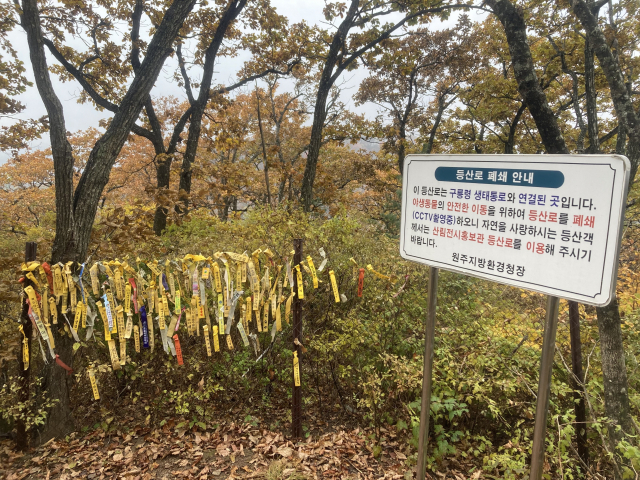 구룡령 터널 인근의 생태통로 출입금지 안내문. 철망엔 대간꾼들의 흔적이 빼곡하다.