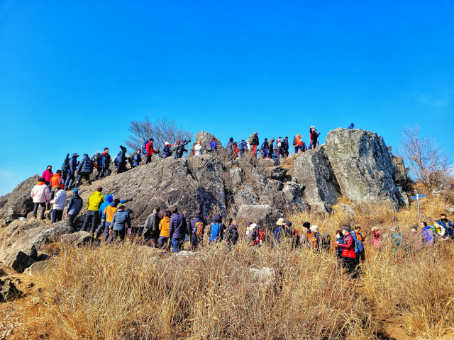 등산객들이 한때 영남알프스 완등 사업에 포함됐던 재약산 정상에서 인증 사진을 찍으려고 길게 줄을 선 모습. 울산 울주군 제공