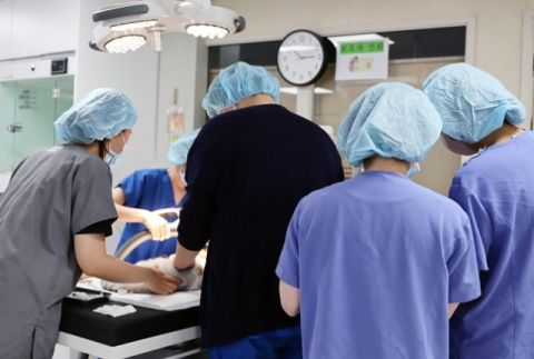 검역본부, 반려견용 항암제 등 동물용 신약 7건 허가