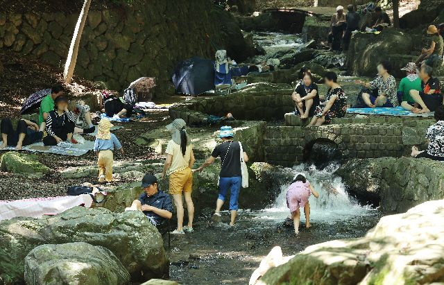 부산을 비롯한 전국에 폭염경보가 지속된 지난달 31일 오후 부산 부산진구 성지곡수원지 아래 계곡을 찾은 시민들이 나무 그늘에서 더위를 식히고 있다. 정종회 기자 jjh@