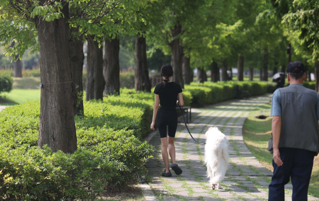 지난 12일 오전 부산 부산진구 부산시민공원에서 한 시민이 강아지와 함께 산책을 하고 있다. 이재찬 기자 chan@