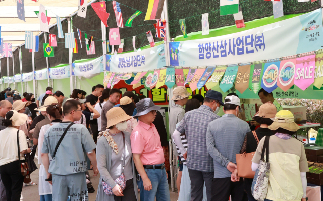 지난해 함양산삼축제 산양삼 판매 부스 모습. 올해는 모두 초가 형태로 변경돼 산양삼에 대한 편안한 이미지를 심어줄 예정이다. 함양군 제공