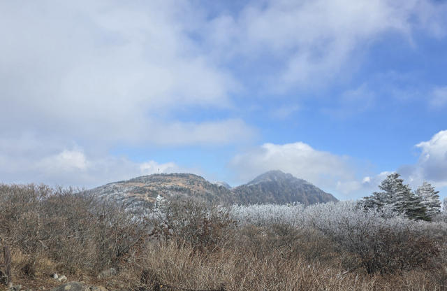 지리산국립공원에 눈꽃이 피었다. 21일 국립공원공단 지리산국립공원경남사무소에 따르면 이날 새벽 지리산 주 능선인 장터목.세석 일원에 올해 첫 상고대가 폈다. 지난해보다는 한달 정도 늦은 시점이다. 21일 지리산 세석대피소는 최저기온이 영하 2.1도, 최대풍속 2.0m/s를, 장터목대피소는 최저기온이 영하 1.9도, 최대풍속 5.8m/s를 기록했다. 지리산국립공원경남사무소 제공