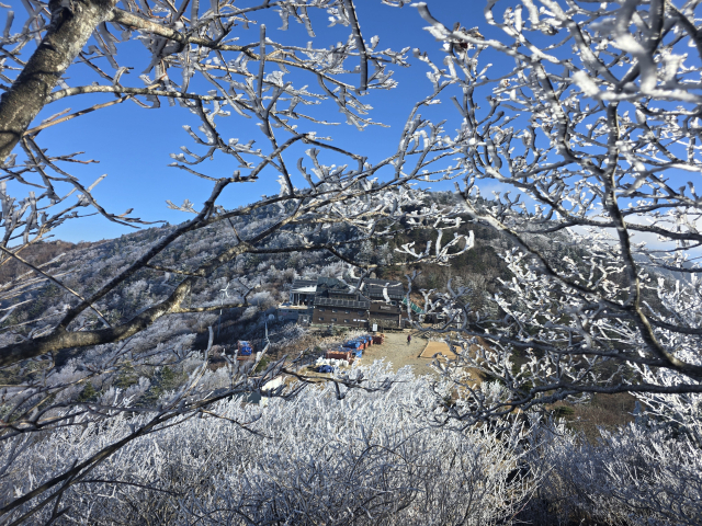 지리산국립공원에 눈꽃이 피었다. 21일 국립공원공단 지리산국립공원경남사무소에 따르면 이날 새벽 지리산 주 능선인 장터목.세석 일원에 올해 첫 상고대가 폈다. 지난해보다는 한달 정도 늦은 시점이다. 21일 지리산 세석대피소는 최저기온이 영하 2.1도, 최대풍속 2.0m/s를, 장터목대피소는 최저기온이 영하 1.9도, 최대풍속 5.8m/s를 기록했다. 지리산국립공원경남사무소 제공