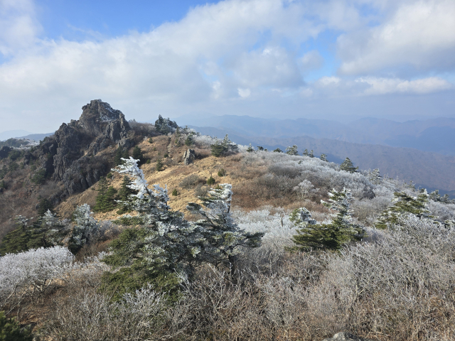 지리산국립공원에 눈꽃이 피었다. 21일 국립공원공단 지리산국립공원경남사무소에 따르면 이날 새벽 지리산 주 능선인 장터목.세석 일원에 올해 첫 상고대가 폈다. 지난해보다는 한달 정도 늦은 시점이다. 21일 지리산 세석대피소는 최저기온이 영하 2.1도, 최대풍속 2.0m/s를, 장터목대피소는 최저기온이 영하 1.9도, 최대풍속 5.8m/s를 기록했다. 지리산국립공원경남사무소 제공