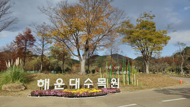 소박한 해운대수목원 정문을 지나면 커다란 느티나무 삼거리가 나타난다. 이곳에 오면 비로소 '해운대수목원'이라는 활자 이름표를 만날 수 있다. 김희돈 기자