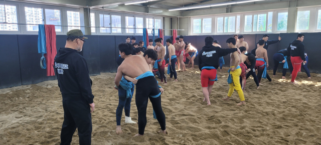 MG새마을금고 씨름단이 씨름 꿈나무들에게 재능 기부를 하고 있다. MG새마을금고 씨름단 제공