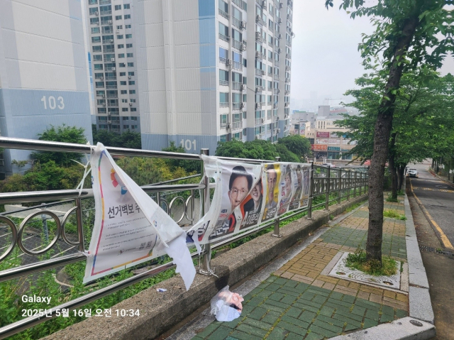 훼손된 선거 벽보 모습. 민주당 부산시당 제공