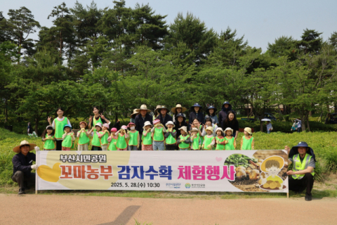 [포토뉴스]부산시설공단 꼬마농부 감자수확 체험
