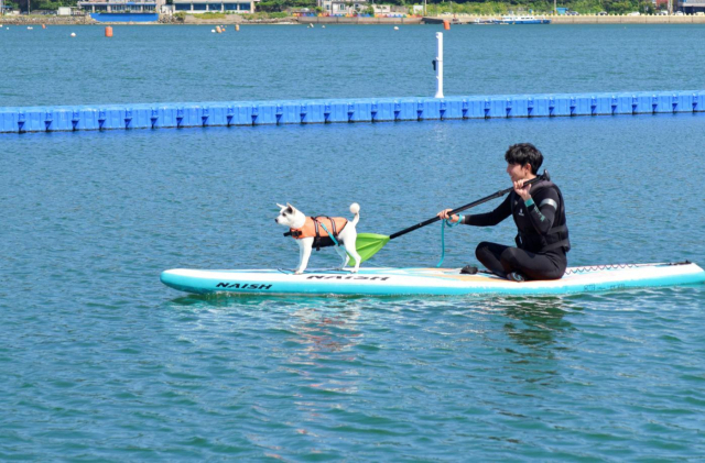 반려동물과 함께 즐기는 거제 명사 해수욕장. 경남도 제공