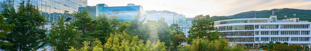 부산대 전경. 부산대 홈페이지