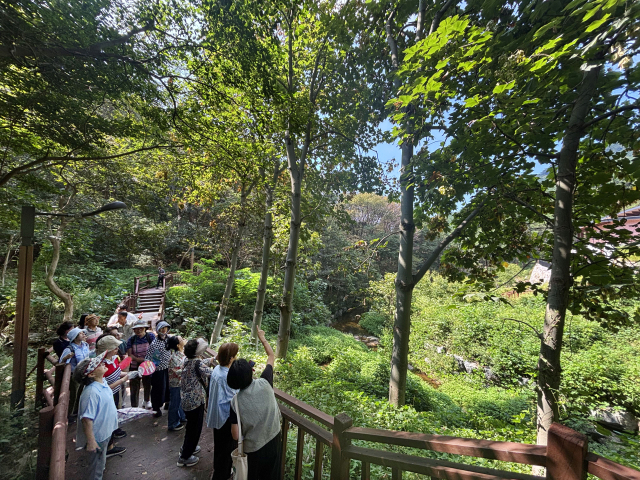 산림치유는 자연에서 오감을 열고 내면으로의 여행을 강조한다. ‘국립부산승학산치유의숲’에서 운영 중인 산림치유 프로그램에 참여한 참가자들. 윤여진 기자