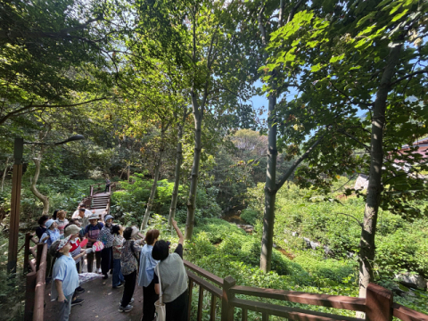 [산림치유] 숲에 맡긴 몸과 마음… 진짜 ‘나’를 만난다