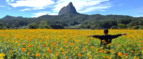 마, 이 산이 가을 풍경 맛집이네