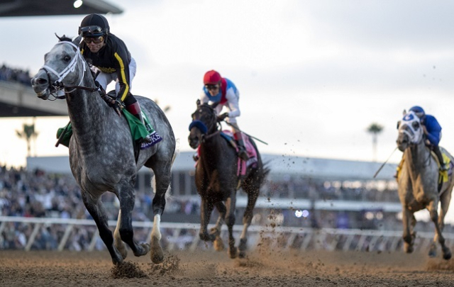 한국마사회가 경마와 말산업의 미래를 이끌어갈 2026년 신입사원 공개채용에 나선다고 24일 밝혔다. 한국마사회 제공
