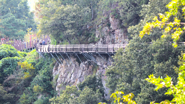 절벽 끝에 대롱대롱 매달린 것처럼 아찔해 보이는 경남 밀양시 용두산 잔도. 남태우 기자