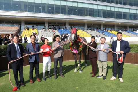 경상남도지사배 대상경주서 암말 '플라잉스타'가 우승 차지