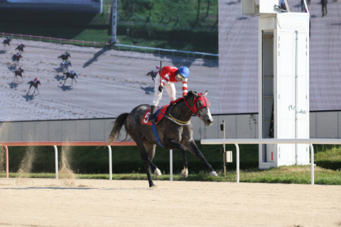 플라잉스타와 장추열 기수