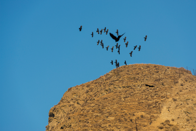 정금희, 2018 라브랑스. 부산갤러리 제공