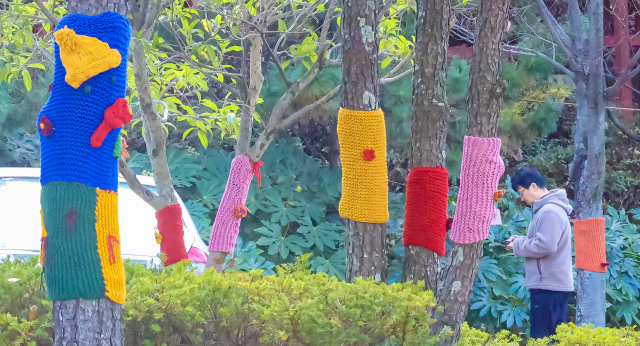 쌀쌀한 날씨를 보인 17일 오후 부산 북구 구포무장애숲길 인근 가로수에 뜨개옷이 입혀져 있다. 김종진 기자 kjj1761@