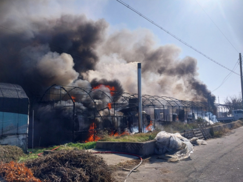 김해 대동면 화훼단지서 불···인명 피해 없어