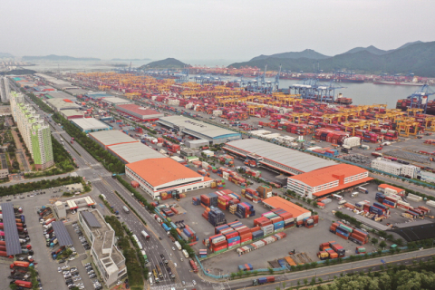 커피 클러스터 추진 부산항, 중동 커피허브 벤치마킹 본격 시동