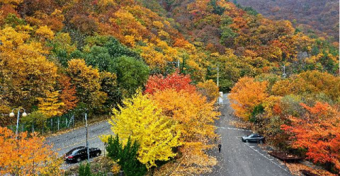 부울경 대체로 맑고 포근… 낮 기온 15~17도