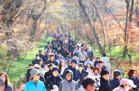 [포토뉴스] “늦깎이 단풍놀이 왔어요”