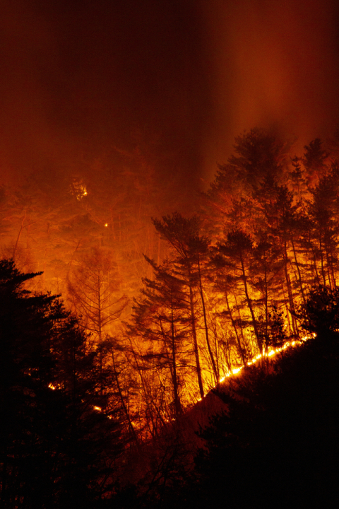 ‘火들짝’ 다시 돌아온 ‘산불의 계절’…바짝 긴장한 지자체