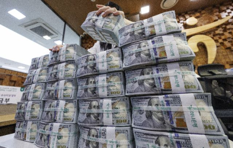 [논설위원의 뉴스 요리] ‘킹 달러’ 시대 생존법