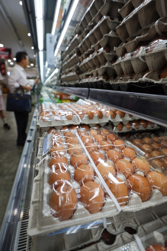서울 시내 한 대형마트에서 계란을 고르는 시민. 연합뉴스