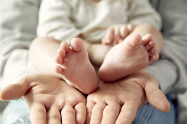 클립아트코리아