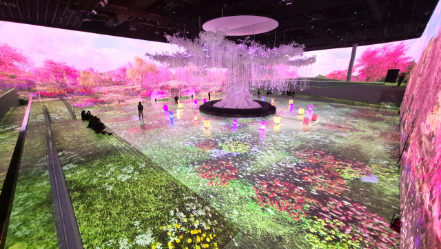 경북 경주시 ‘플래시백 계림’을 방문한 관람객들이 신단수를 표현한 화려한 영상을 관람하고 있다. 남태우 기자